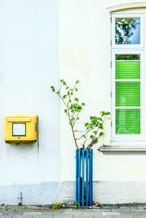 Mailbox by Steffan  Martens