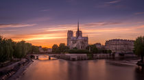 Notre Dame in Paris at sunset von Toon van den Einde