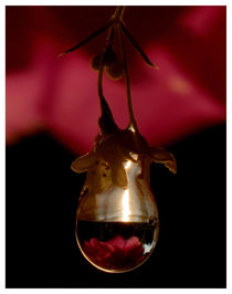 Incandescent bulb von Yuri Hope