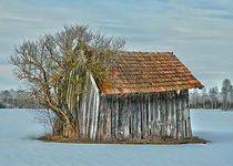 Hütte im Winter von Peter Bergmann