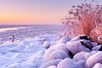 Frozen lake Markermeer, The Netherlands at sunrise by Sara Winter
