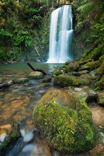 Rainforest waterfalls, Beauchamp Falls, Great Otway NP, Victoria, Australia von Sara Winter