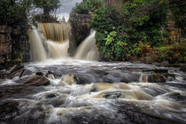 Penllergare Waterfall von Leighton Collins