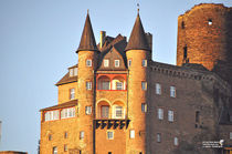 Burg Maus von shark24