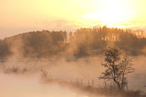 Nebelschwaden am Fluss by Bernhard Kaiser