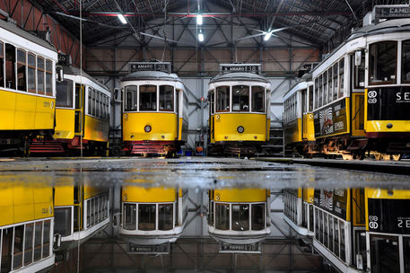 Yellow-trams-joao-coutinho