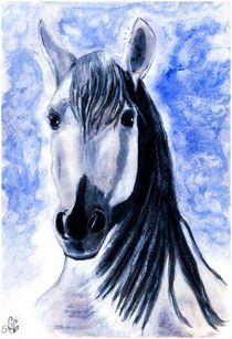 ~ Aquarell Horse Portrait ~ Nr.. by Sandra  Vollmann