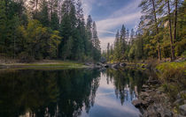 Yosemite NP - reflecting river by Toon van den Einde