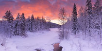 Sunrise over a river in winter near Levi, Finnish Lapland by Sara Winter