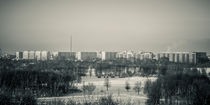 Blick über den Park am Silbersee, Leipzig Lößnig von Roland Hemmpel