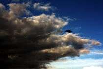 Storm Crow von Bill Covington