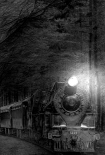 The Dark Train by Rolf Schweizer