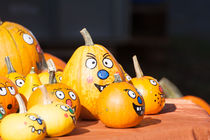 Pumpkin Fun by Michael Franke