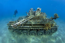 The Tank by Norbert Probst