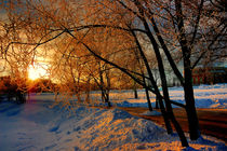 Winter evening in the Park von Yuri Hope