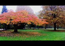 autumn in Germany von Florette Hill