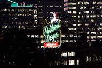 The White Stag Sign by Jack Toscano