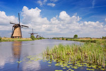 Traditional Dutch windmills on a sunny day at the Kinderdijk by Sara Winter