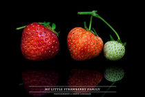 My little Strawberry Family von Erwin Lorenzen