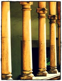 ~~ Beautiful Old Columns ~~ by Sandra  Vollmann