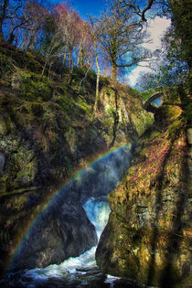 Secret Rainbow by Vicki Field