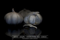 Aglio - Knoblauch - Ajo - Garlic by Erwin Lorenzen