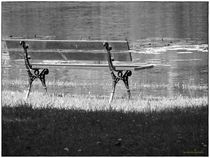~Bench on Lake ~ von Sandra  Vollmann