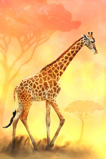 Giraffe von darlya