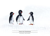 Pingu die Tropfnase by Erwin Lorenzen