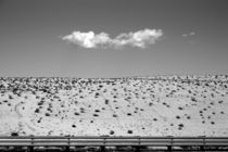 In der Wüste von Bastian  Kienitz