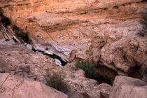Wadi Bani Khalid: Ausblick II by ysanne