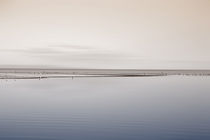 Saltonsee by Bastian  Kienitz