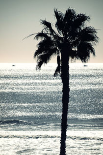 Long Beach von Bastian  Kienitz