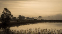 Teich im Nebel, sepia von Franziska Mohr