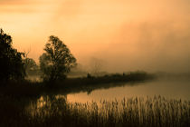 Nebel über dem Teich im Morgengrauen von Franziska Mohr