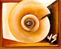 Ammonite by Wolfgang Schmidt