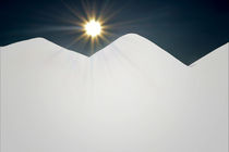 Winter in der Au - Winter Sun von Chris Berger