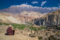 View into Kingdom of Mustang by Frank Tschöpe