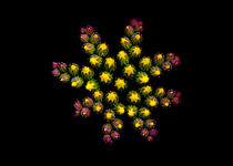 zweifarbige Blüte by Ricardo Will
