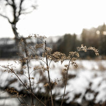 endlich Winter by Thomas Matzl