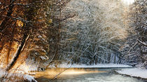 Sunny Winter River von Thomas Matzl