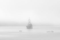 Foggy morning by Ladislav Dunaj