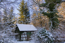 Hütte im verschneiten Wald Naturpark Schönbuch von Matthias Hauser