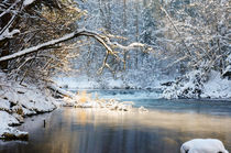 Enjoying winter moments by Thomas Matzl