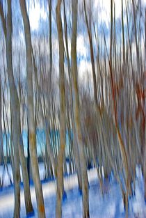 winter trees... 4 by loewenherz-artwork