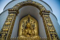 Buddha by Bikram Pratap Singh