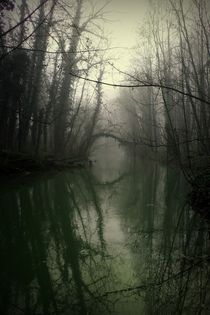 foggy forest von rlephant