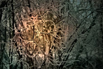 frostige Winterimpression von Ralf Czekalla