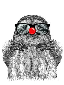 Clown Sloth von Renato Sette