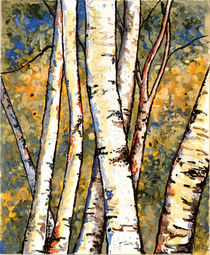 Birch Trees von Robin (Rob) Pelton